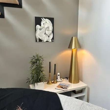 Neuve En Front De Jean Michele